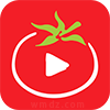 番茄影视